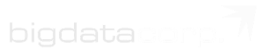 Logo BigData Corp